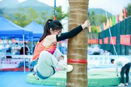 爬树也有比赛？海南这群高手藏不住了！