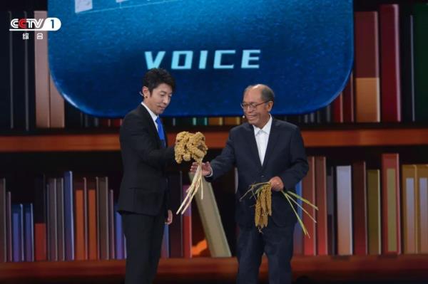 这两人坐在一起，让人莫名安心！