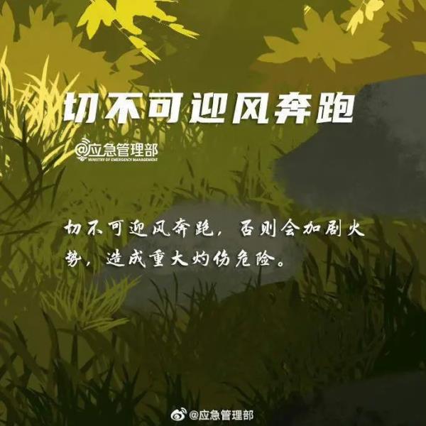 正全力控制火势蔓延!国道318线、248线这些路段全封闭 正全力控制火势蔓延!国道318线、248线这些路段全封闭