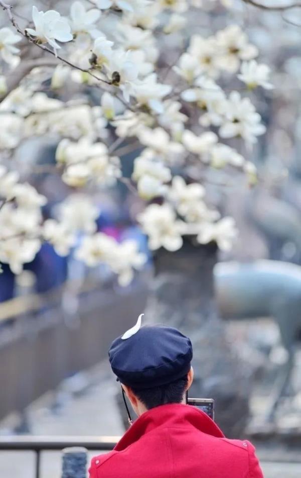 北京好天气回来了!这份北京游园赏花攻略请收好 北京好天气回来了!这份北京游园赏花攻略请收好