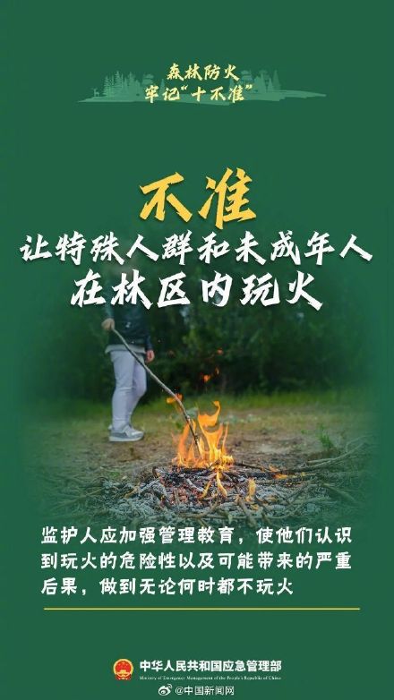 森林防火十不准请牢记 森林防火十不准请牢记