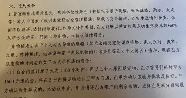 宠物“免费领养” 是福利还是套路? 宠物“免费领养” 是福利还是套路?