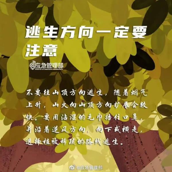 正全力控制火势蔓延!国道318线、248线这些路段全封闭 正全力控制火势蔓延!国道318线、248线这些路段全封闭