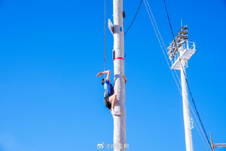 爬树也有比赛？海南这群高手藏不住了！