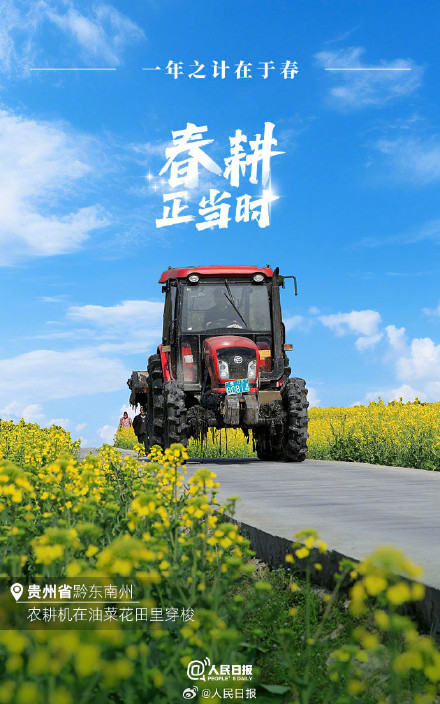 不负春光!2024中国春耕图 不负春光!2024中国春耕图