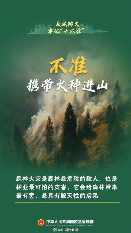 森林防火十不准请牢记 森林防火十不准请牢记