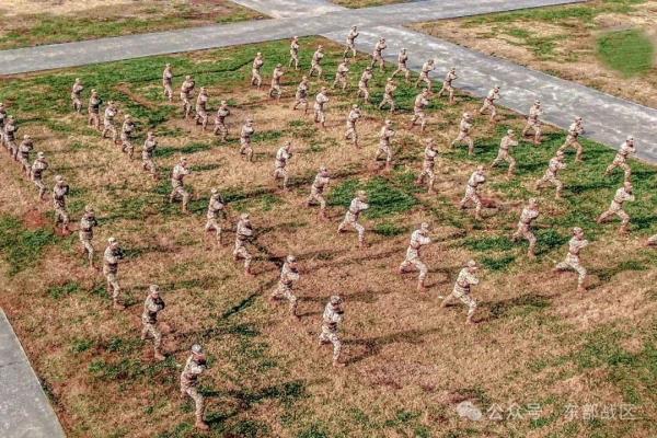 酷图|武警热血练兵图来了 酷图|武警热血练兵图来了