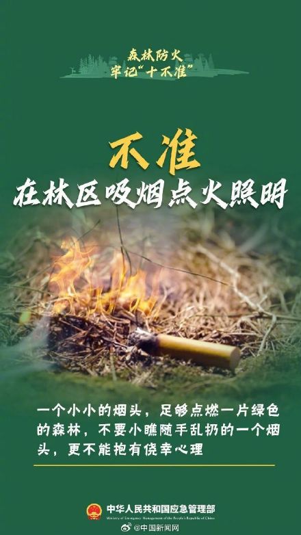 森林防火十不准请牢记 森林防火十不准请牢记