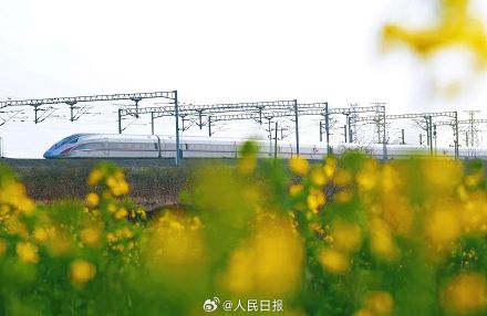 开往春天！当列车穿越缤纷花海