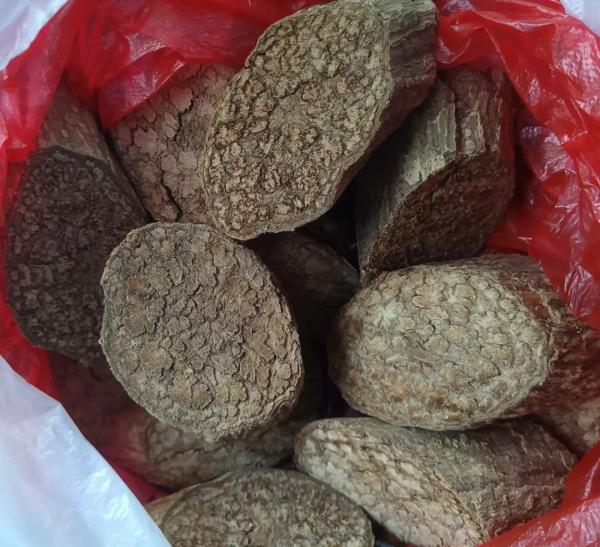 海南疾控提醒:这些植物有毒,请勿食用! 海南疾控提醒:这些植物有毒,请勿食用!