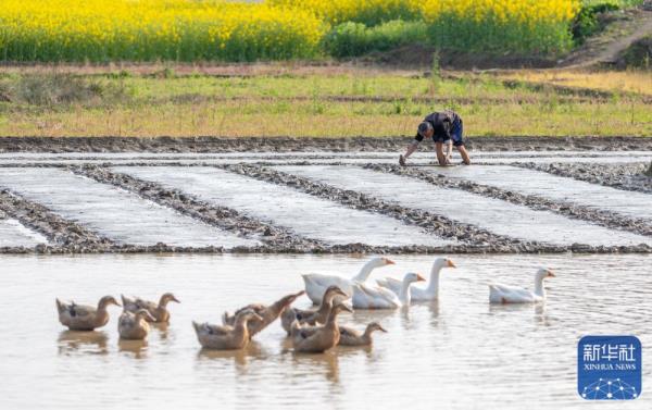 春分将至农事忙 春分将至农事忙