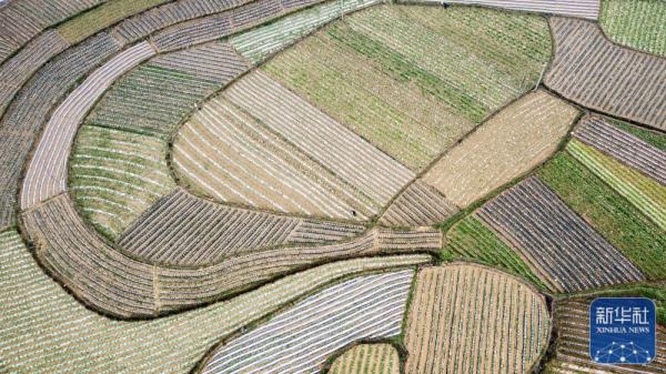 春分将至农事忙 春分将至农事忙