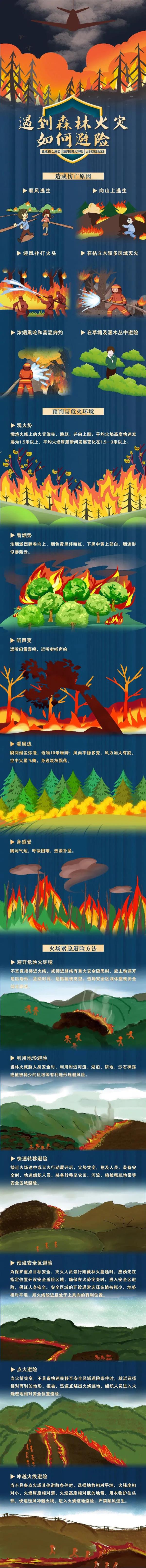 关于森林火灾 这些知识你需要掌握→ 关于森林火灾 这些知识你需要掌握→