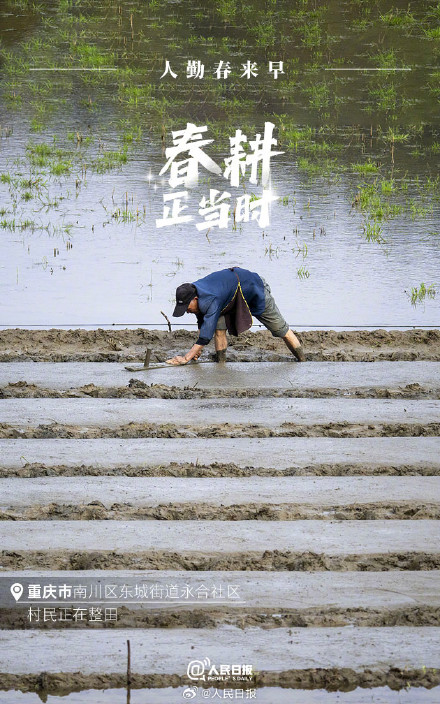 不负春光!2024中国春耕图 不负春光!2024中国春耕图