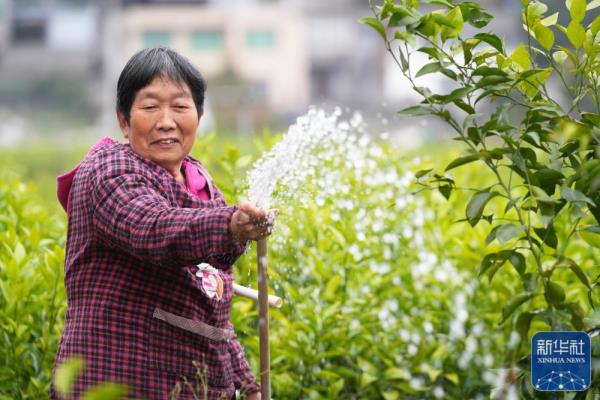 春分将至农事忙 春分将至农事忙