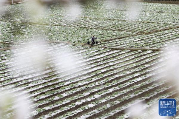 春分将至农事忙 春分将至农事忙
