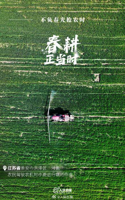 不负春光!2024中国春耕图 不负春光!2024中国春耕图