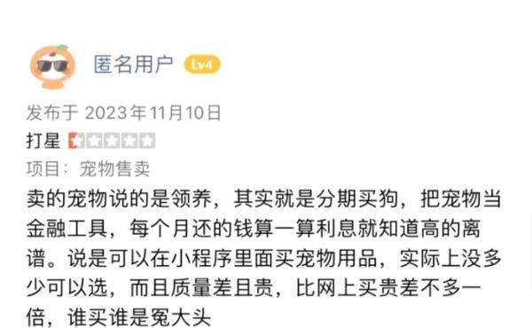 宠物“免费领养” 是福利还是套路? 宠物“免费领养” 是福利还是套路?