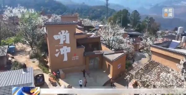 解锁春天的各种玩法!赏花、户外运动……你pick哪一个? 解锁春天的各种玩法!赏花、户外运动……你pick哪一个?