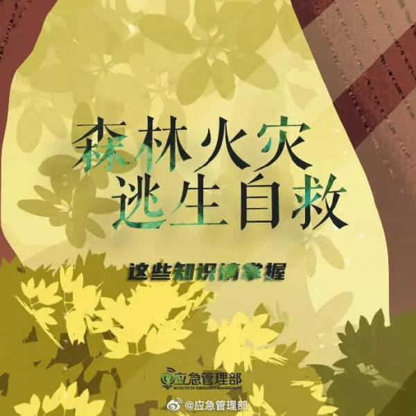 云南临沧山火已扑灭，遇难三人均为基层干部