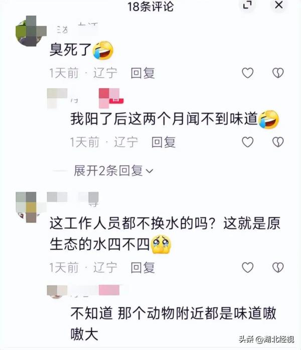 "气味太大了！"动物园河马泡在排泄物水里？园方回应→