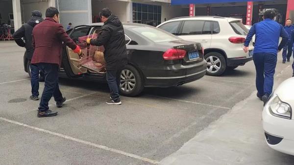 起猛了,蓝朋友见到了鲁迅笔下的“猹” 起猛了,蓝朋友见到了鲁迅笔下的“猹”