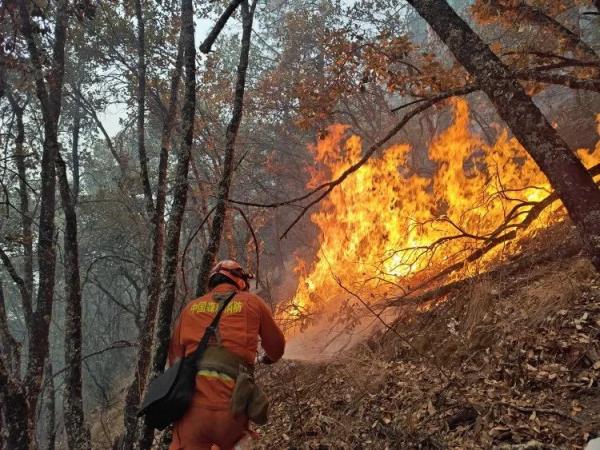 凌晨雅江山火现场，记者跟随消防员感受灭火之艰辛