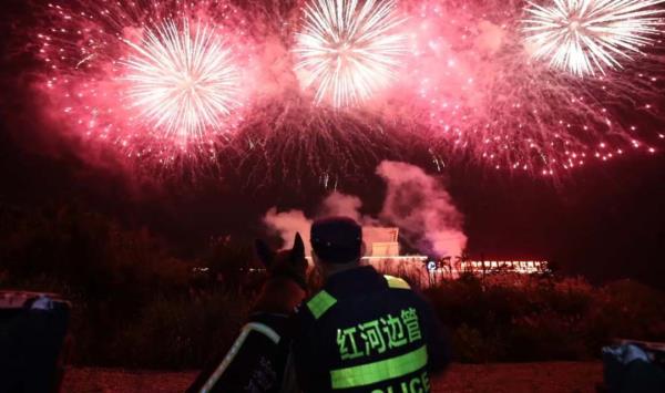 身怀绝技智勇双全,带你探秘缉毒犬养成 身怀绝技智勇双全,带你探秘缉毒犬养成