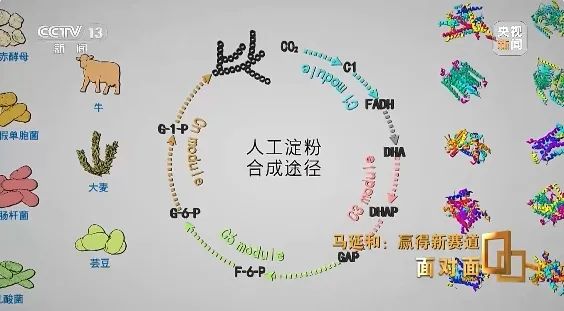 “空气变馒头”？颠覆性改变来了！