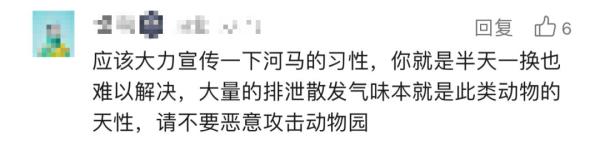 "气味太大了！"动物园河马泡在排泄物水里？园方回应→