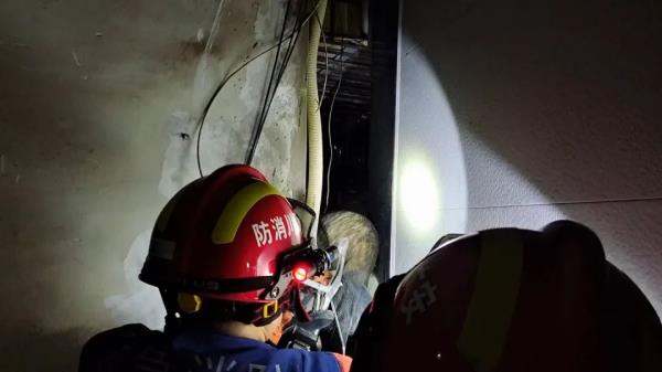 起猛了,蓝朋友见到了鲁迅笔下的“猹” 起猛了,蓝朋友见到了鲁迅笔下的“猹”