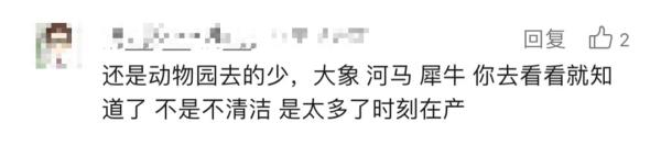 "气味太大了！"动物园河马泡在排泄物水里？园方回应→