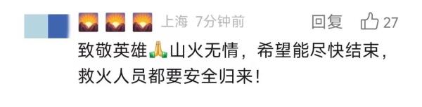 云南临沧山火已扑灭，遇难三人均为基层干部