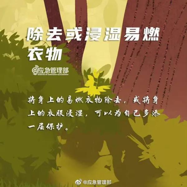 云南临沧山火已扑灭，遇难三人均为基层干部