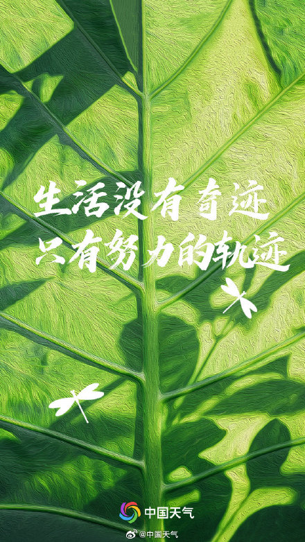 春日限定励志壁纸