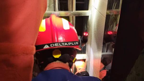 起猛了,蓝朋友见到了鲁迅笔下的“猹” 起猛了,蓝朋友见到了鲁迅笔下的“猹”