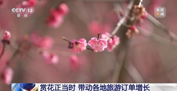 解锁春天的各种玩法!赏花、户外运动……你pick哪一个? 解锁春天的各种玩法!赏花、户外运动……你pick哪一个?