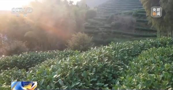 解锁春天的各种玩法!赏花、户外运动……你pick哪一个? 解锁春天的各种玩法!赏花、户外运动……你pick哪一个?