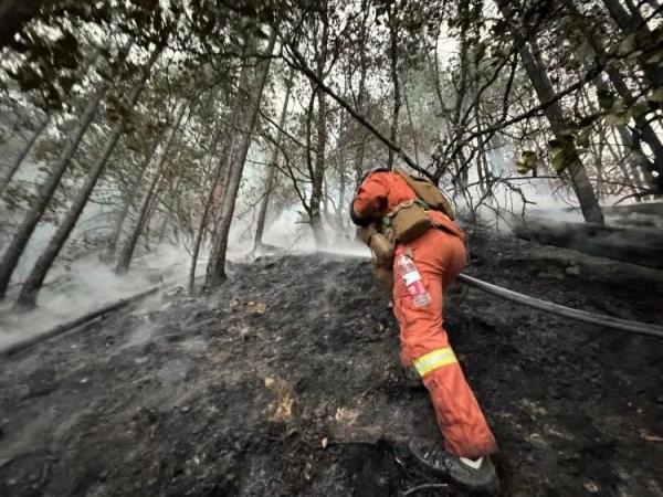 凌晨雅江山火现场，记者跟随消防员感受灭火之艰辛