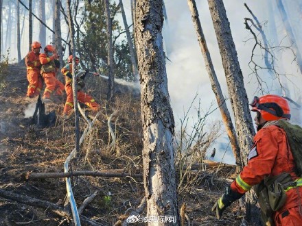 四川雅江山火1号火场明火被扑灭