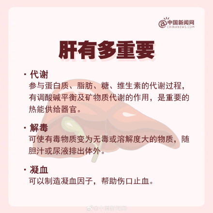 为什么肝癌往往一发现就是晚期？这些爱肝护肝知识你要知道