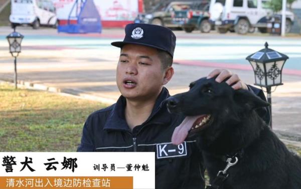 身怀绝技智勇双全,带你探秘缉毒犬养成 身怀绝技智勇双全,带你探秘缉毒犬养成