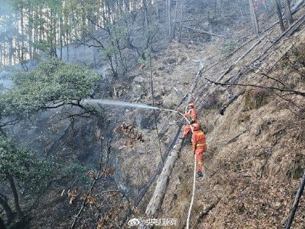 四川雅江山火1号火场明火被扑灭