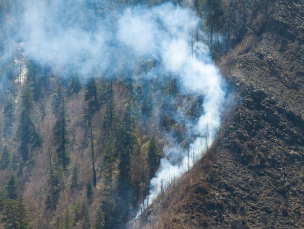 四川森林火灾救援