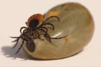 又到高发期！户外踏青请注意