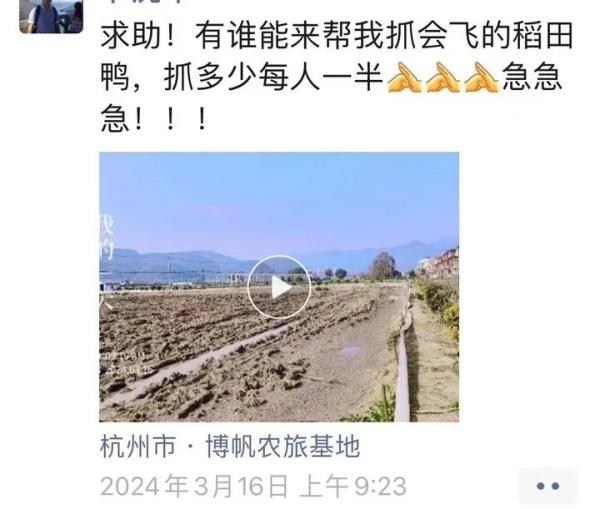 抓不牢也赶不走!杭州老板急了:谁逮到就送 抓不牢也赶不走!杭州老板急了:谁逮到就送