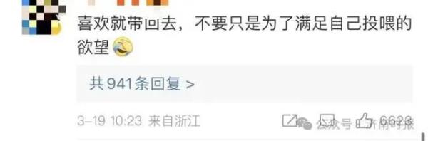 男子打羽毛球被流浪猫绊倒致十级伤残，投喂者被判赔24万元