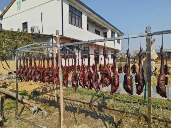 抓不牢也赶不走!杭州老板急了:谁逮到就送 抓不牢也赶不走!杭州老板急了:谁逮到就送