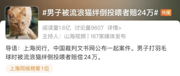 男子被流浪猫绊倒,投喂者赔24万元!网友吵翻…… 男子被流浪猫绊倒,投喂者赔24万元!网友吵翻……