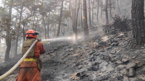 四川森林火灾救援